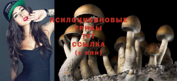 гашик Киреевск