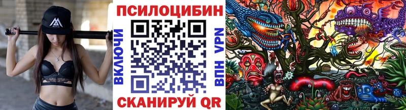 Купить закладки  Козловка  Псилоцибиновые грибы MAGIC MUSHROOMS 