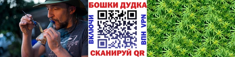 Купить где  Козловка  Каннабис план 